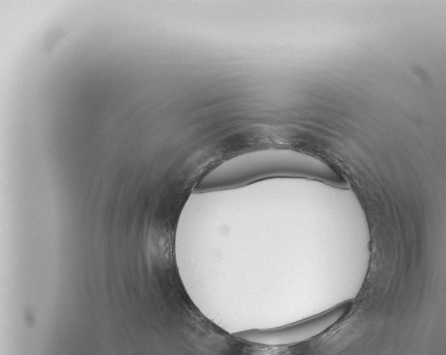 X0000115410096200912011234