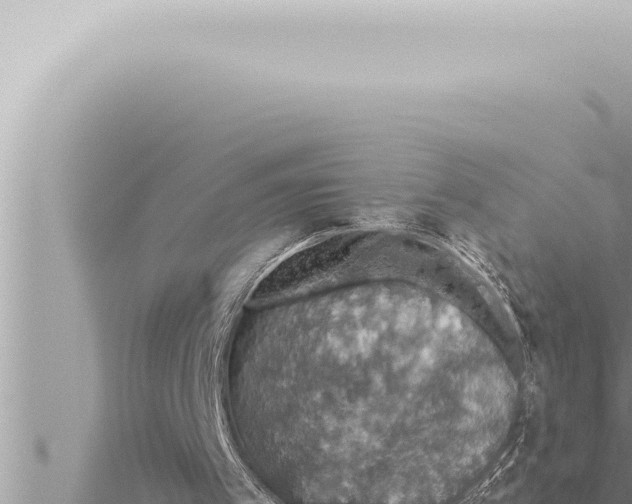 X0000115410097200912011234