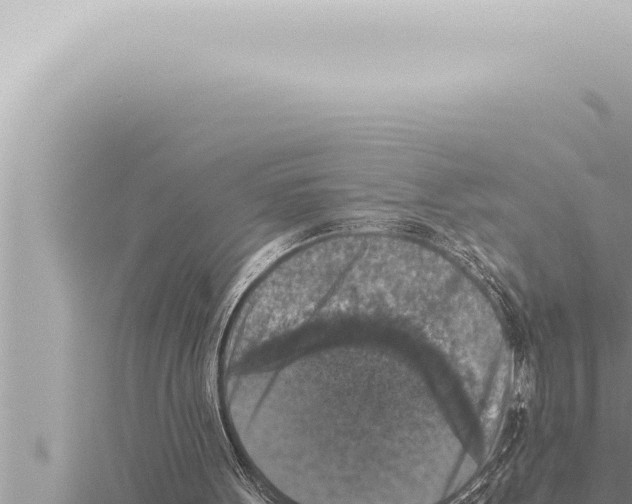 X0000115410099200912011234