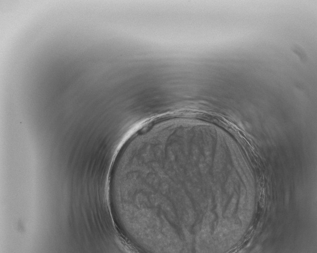 X0000115410100200912011234