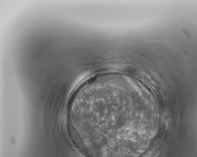 X0000115410101200912011234