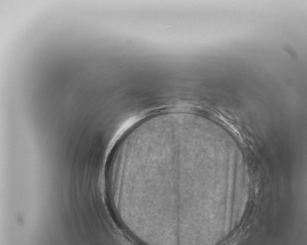 X0000115410102200912011234