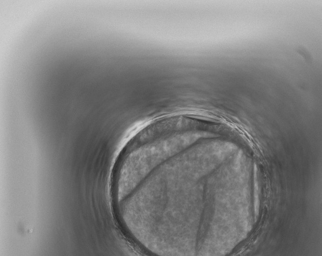 X0000115410104200912011233