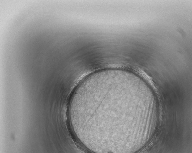 X0000115410106200912011233