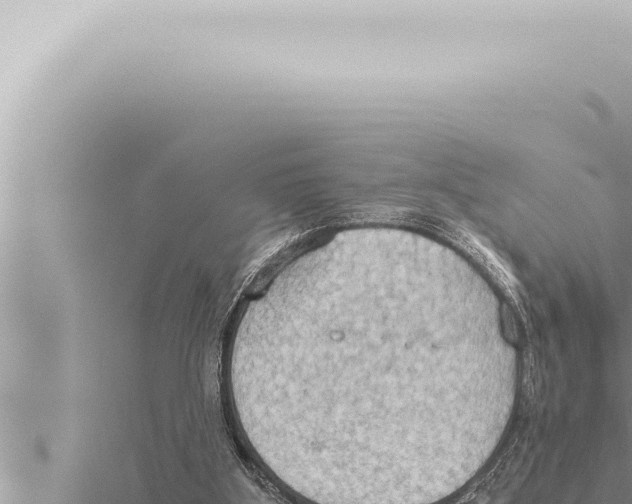 X0000115410107200912011233