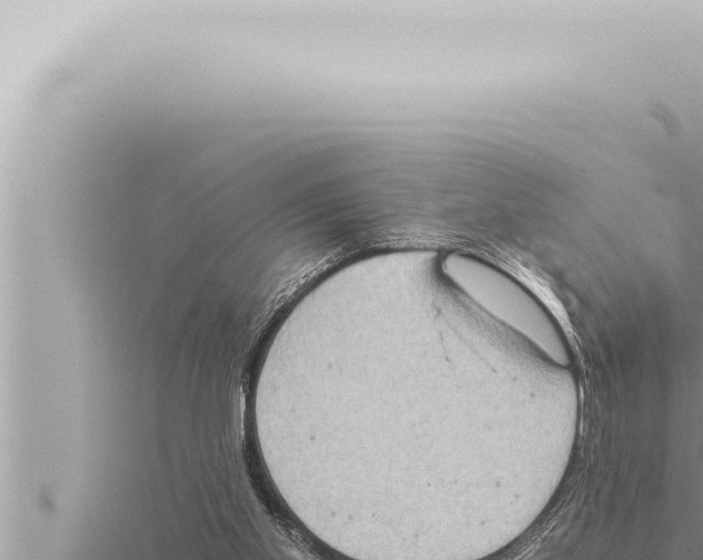 X0000115410109200912011233