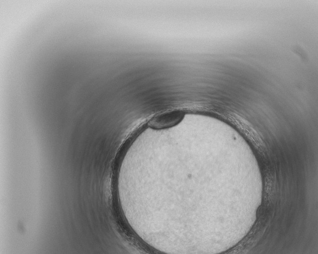 X0000115410112200912011233