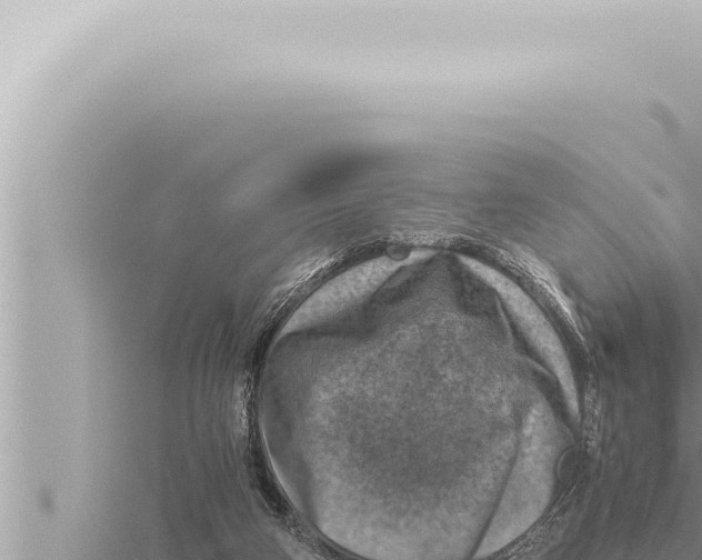 X0000115410114200912011233