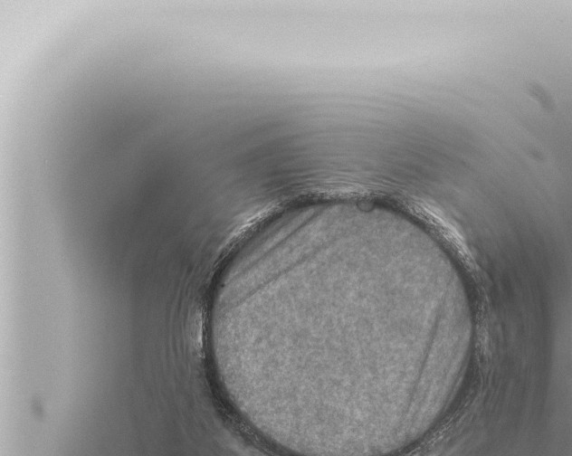 X0000115410115200912011233