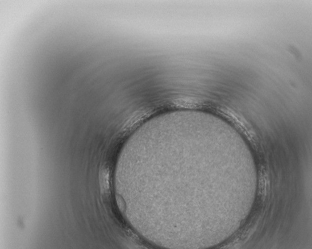 X0000115410117200912011233