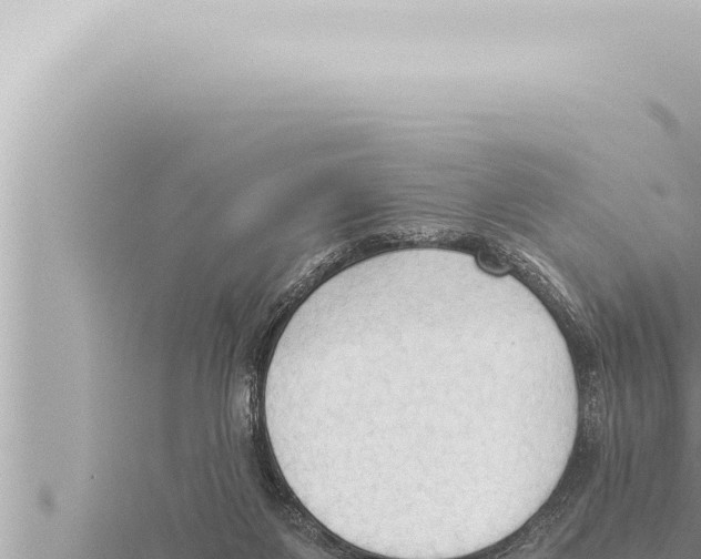 X0000115410119200912011233