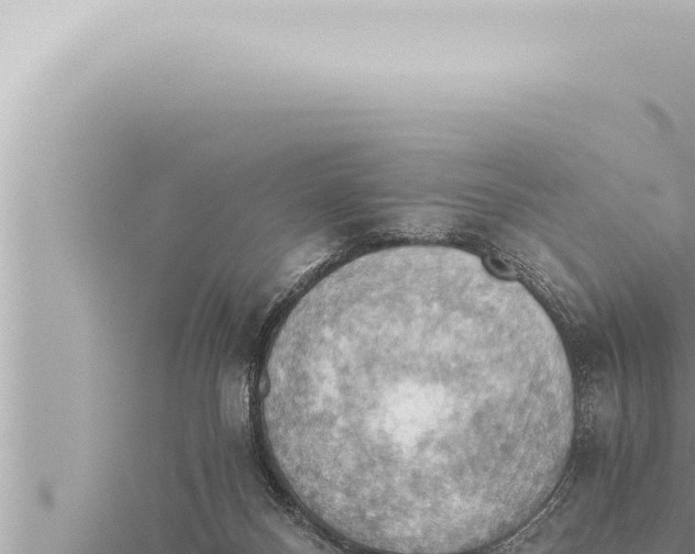 X0000115410120200912011233