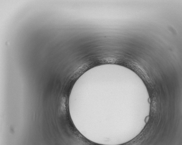 X0000115410122200912011233