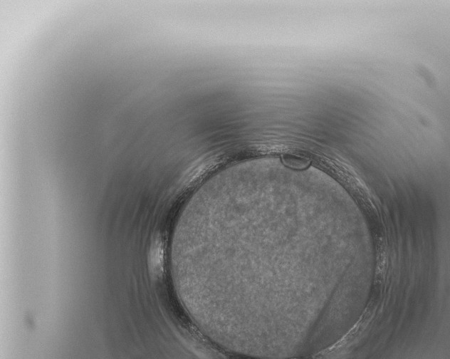 X0000115410124200912011233