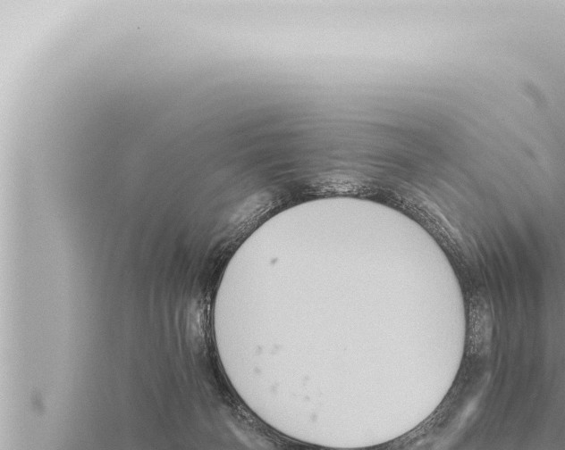 X0000115410126200912011233