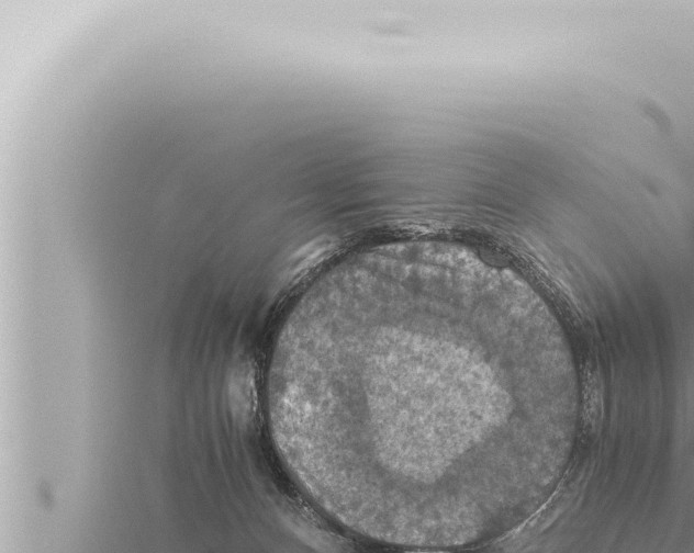 X0000115410128200912011233