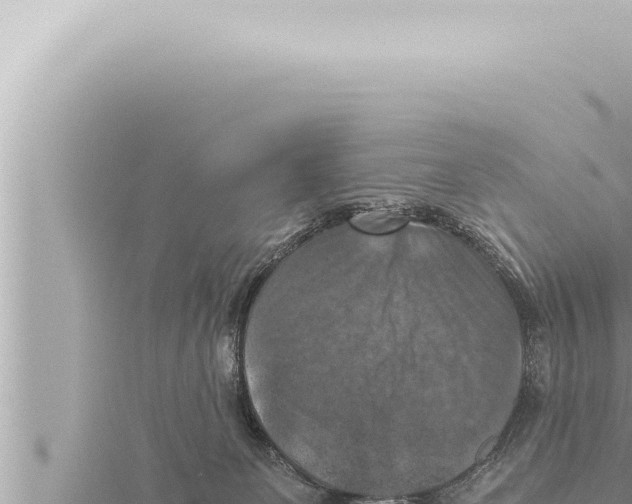 X0000115410131200912011233