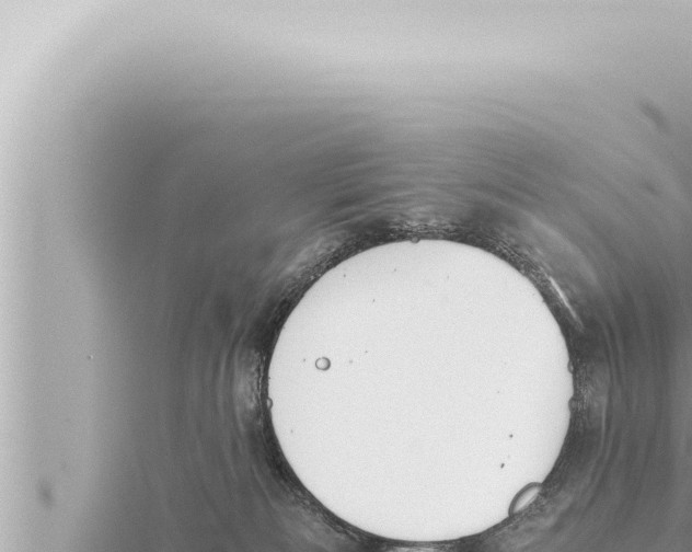 X0000115410133200912011233