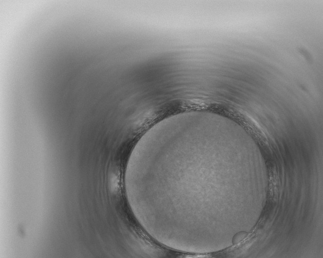 X0000115410134200912011233