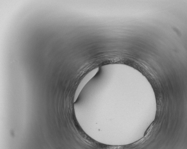 X0000115410136200912011233