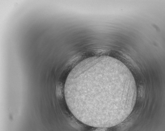 X0000115410138200912011233