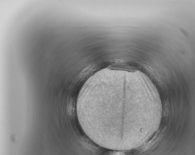 X0000115410140200912011233