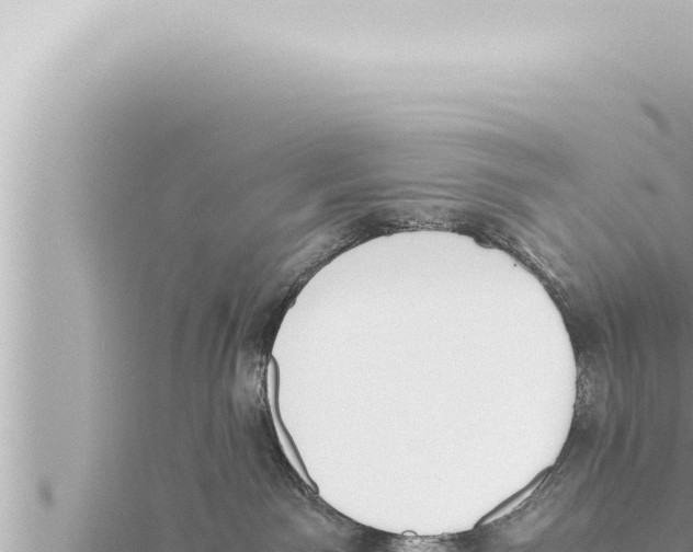 X0000115410141200912011233