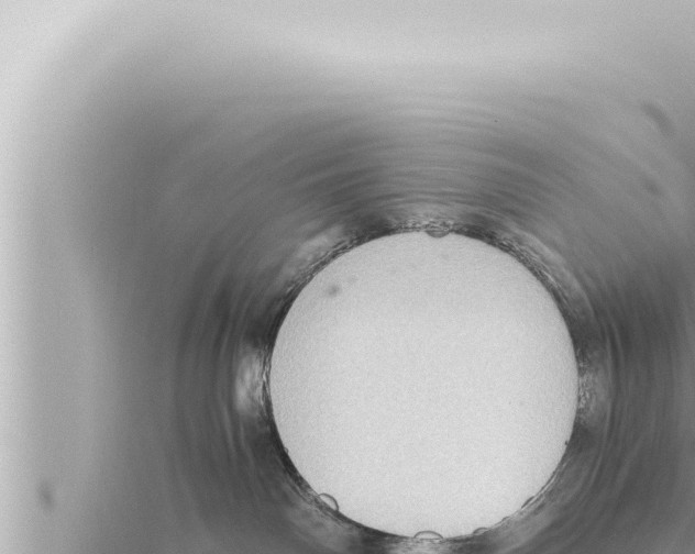 X0000115410142200912011233