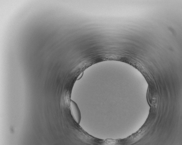 X0000115410143200912011233