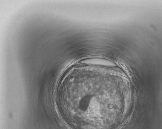 X0000115410145200912011232