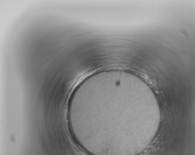 X0000115410146200912011232