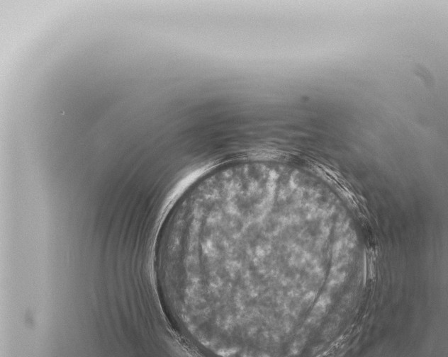 X0000115410147200912011232