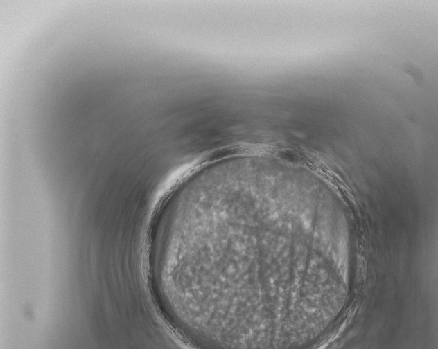 X0000115410149200912011232