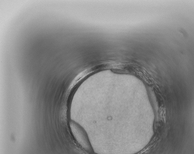 X0000115410150200912011232