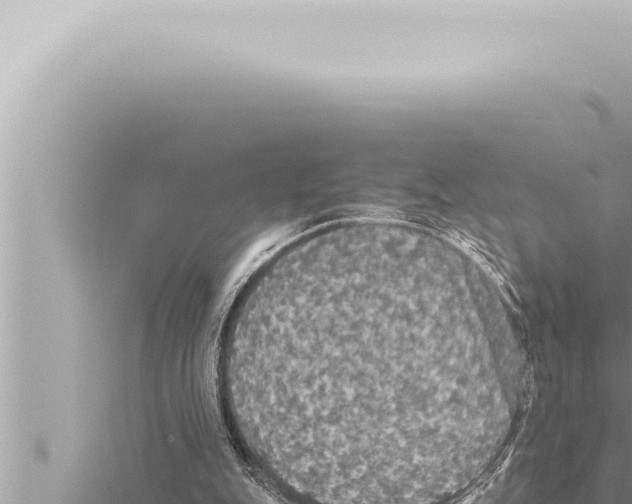 X0000115410151200912011232