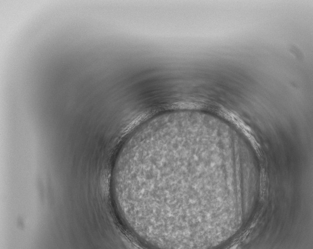 X0000115410153200912011232