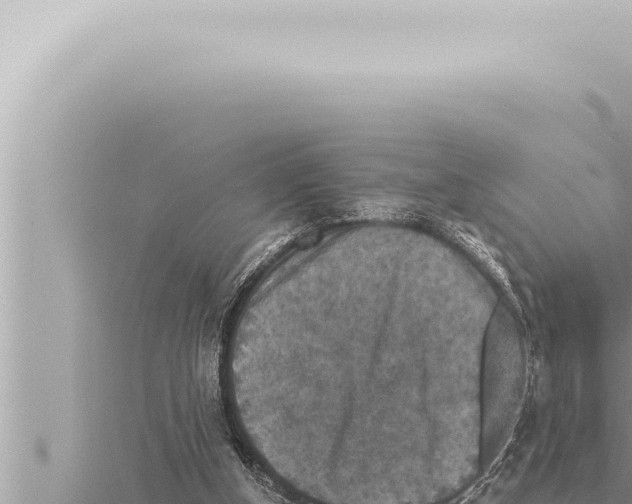 X0000115410154200912011232