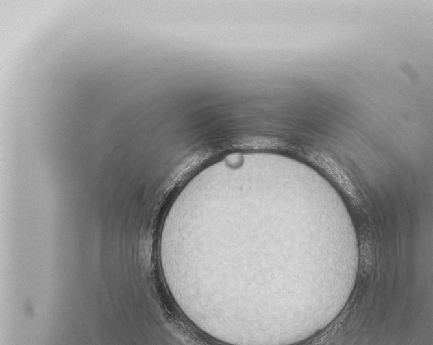 X0000115410159200912011232