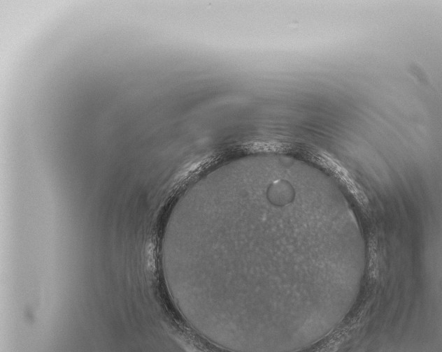 X0000115410161200912011232