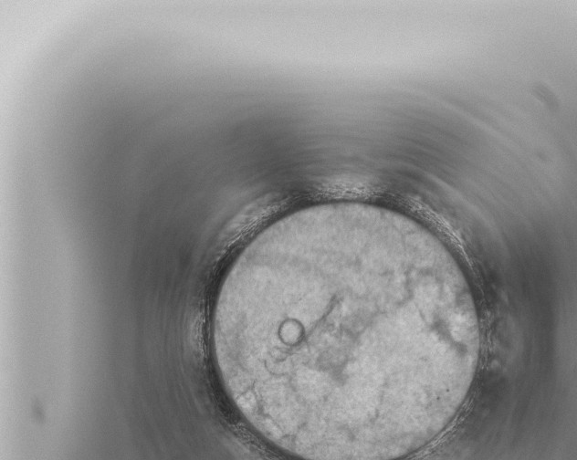 X0000115410162200912011232