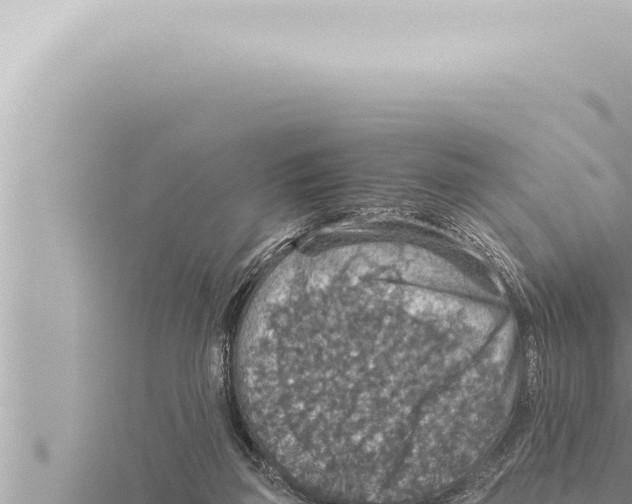 X0000115410165200912011232