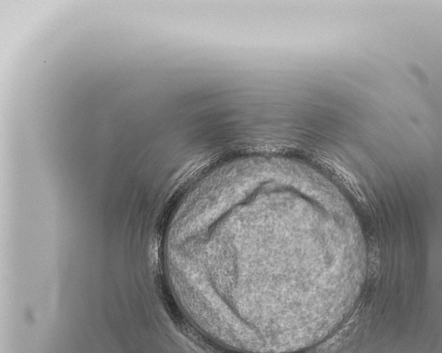 X0000115410166200912011232