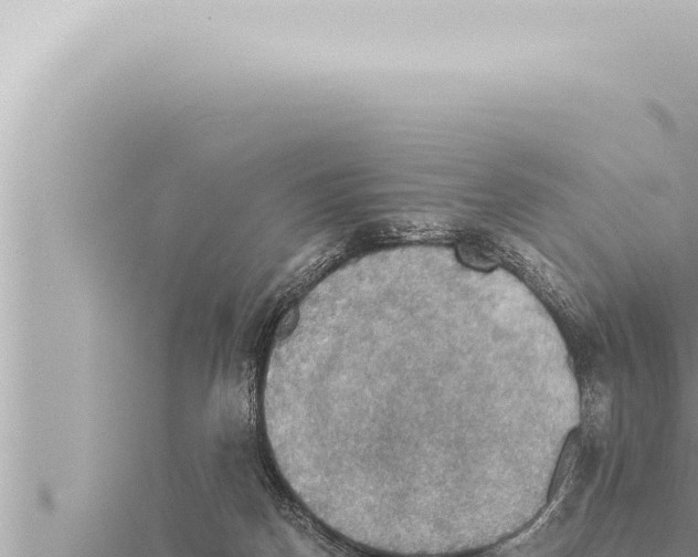 X0000115410170200912011232