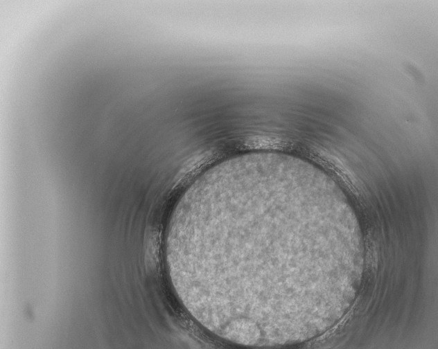 X0000115410171200912011233