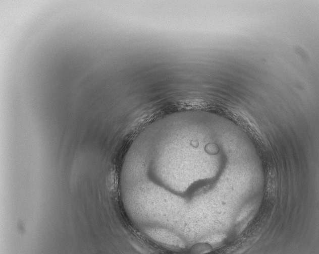 X0000115410173200912011233