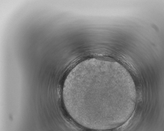 X0000115410174200912011233