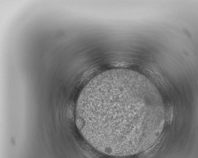 X0000115410175200912011233