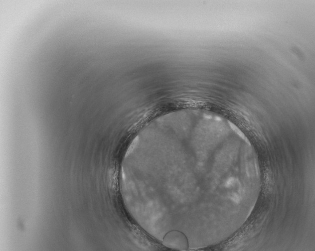 X0000115410177200912011233