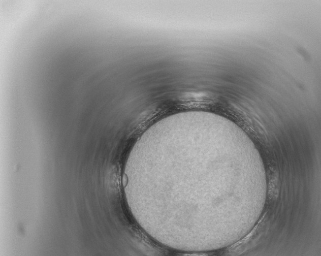 X0000115410179200912011233