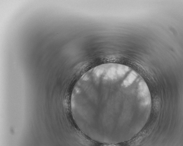 X0000115410181200912011233